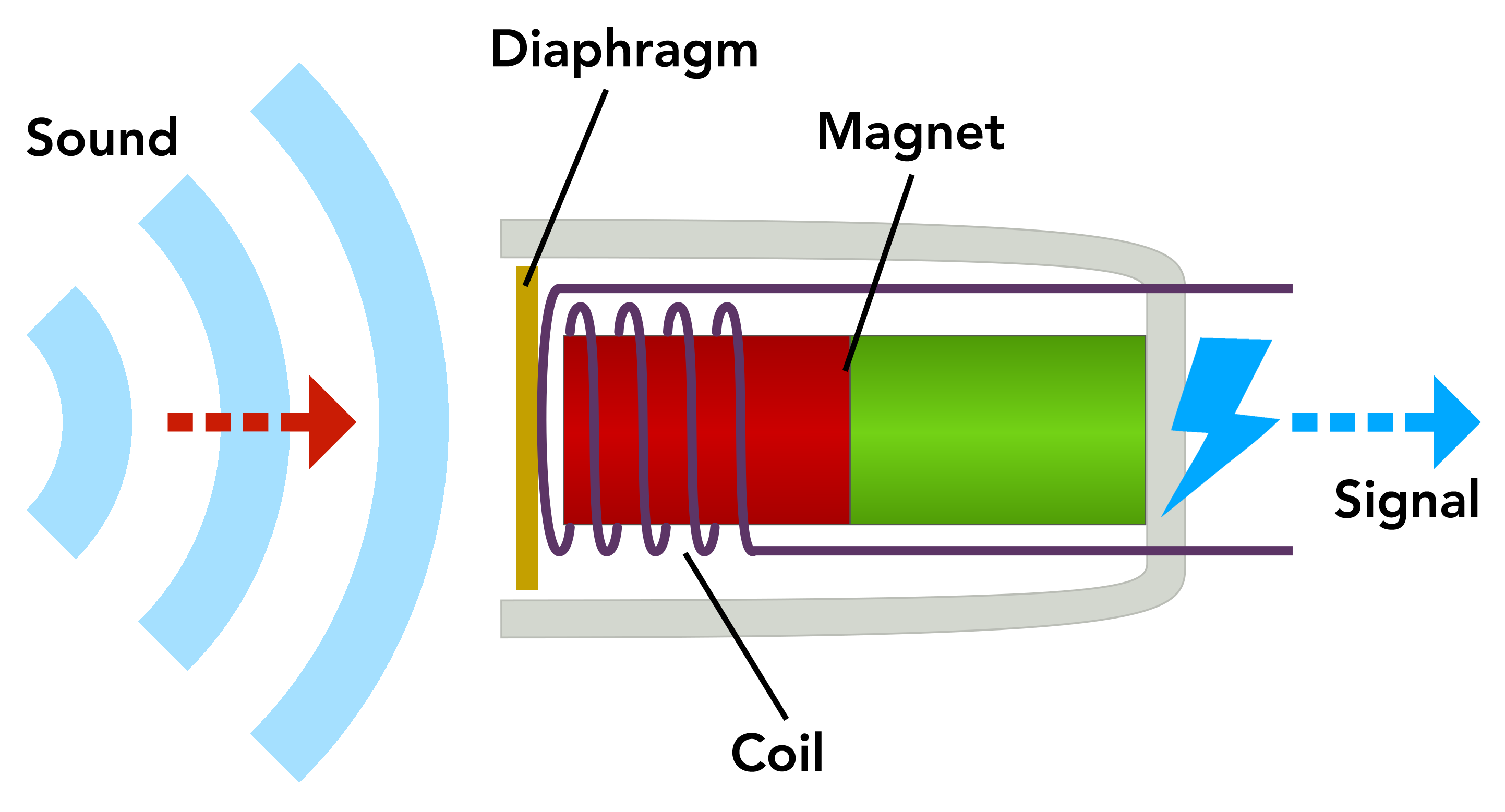 dynamic_micro_moving_coil