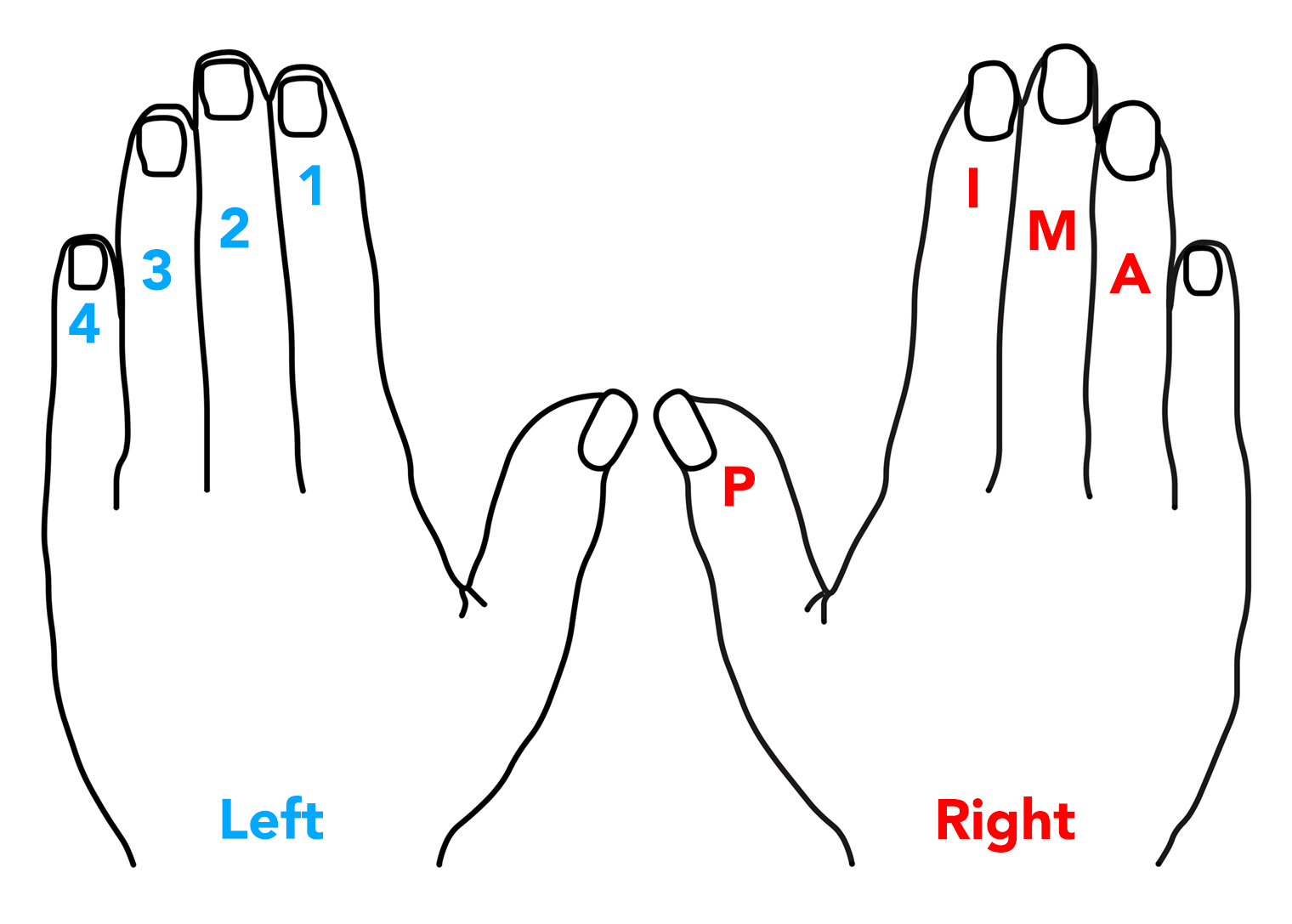 finger names