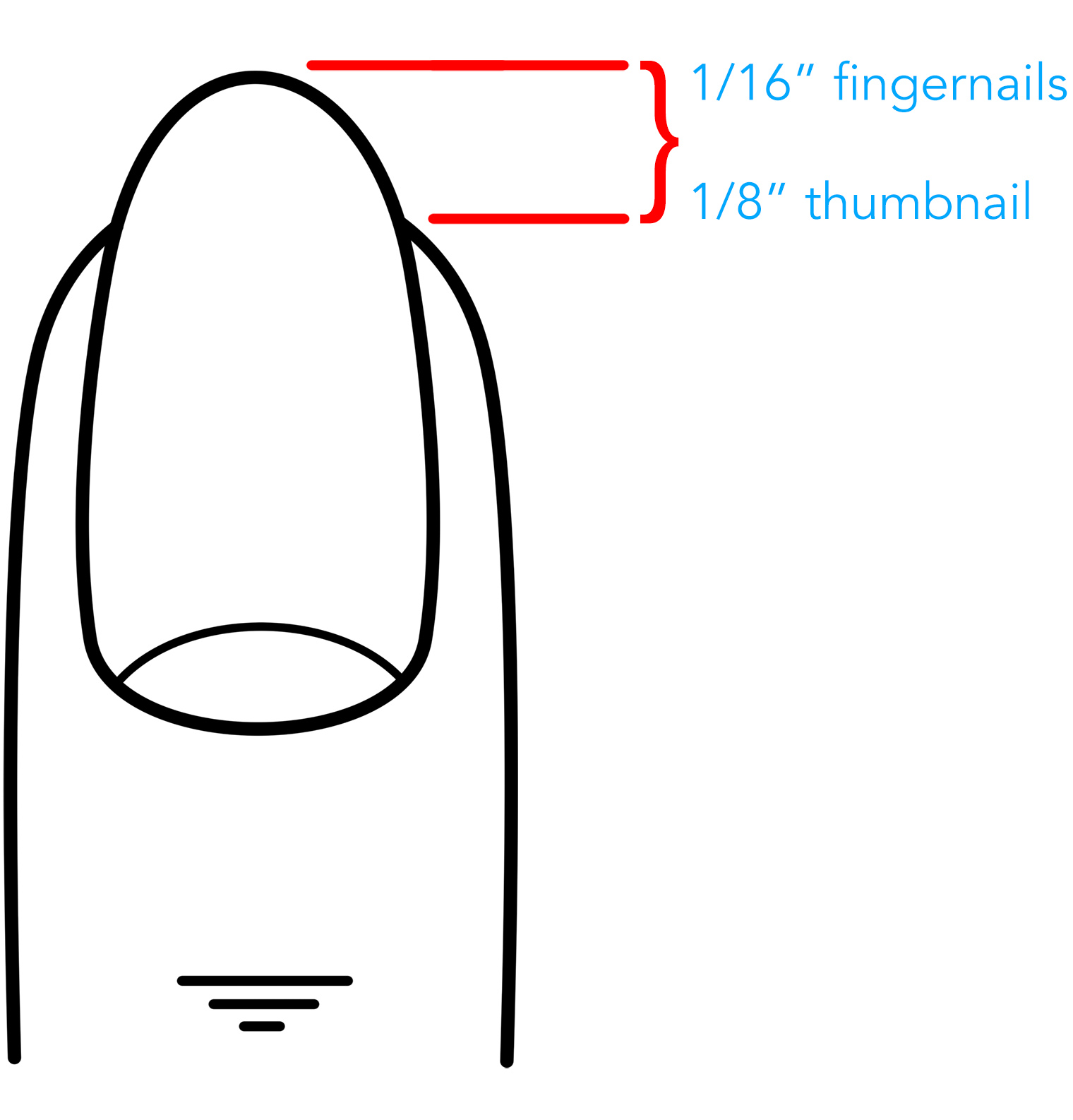 nail length