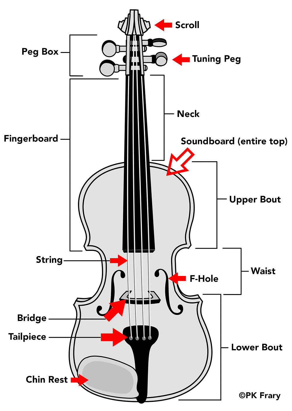 peter's Violin