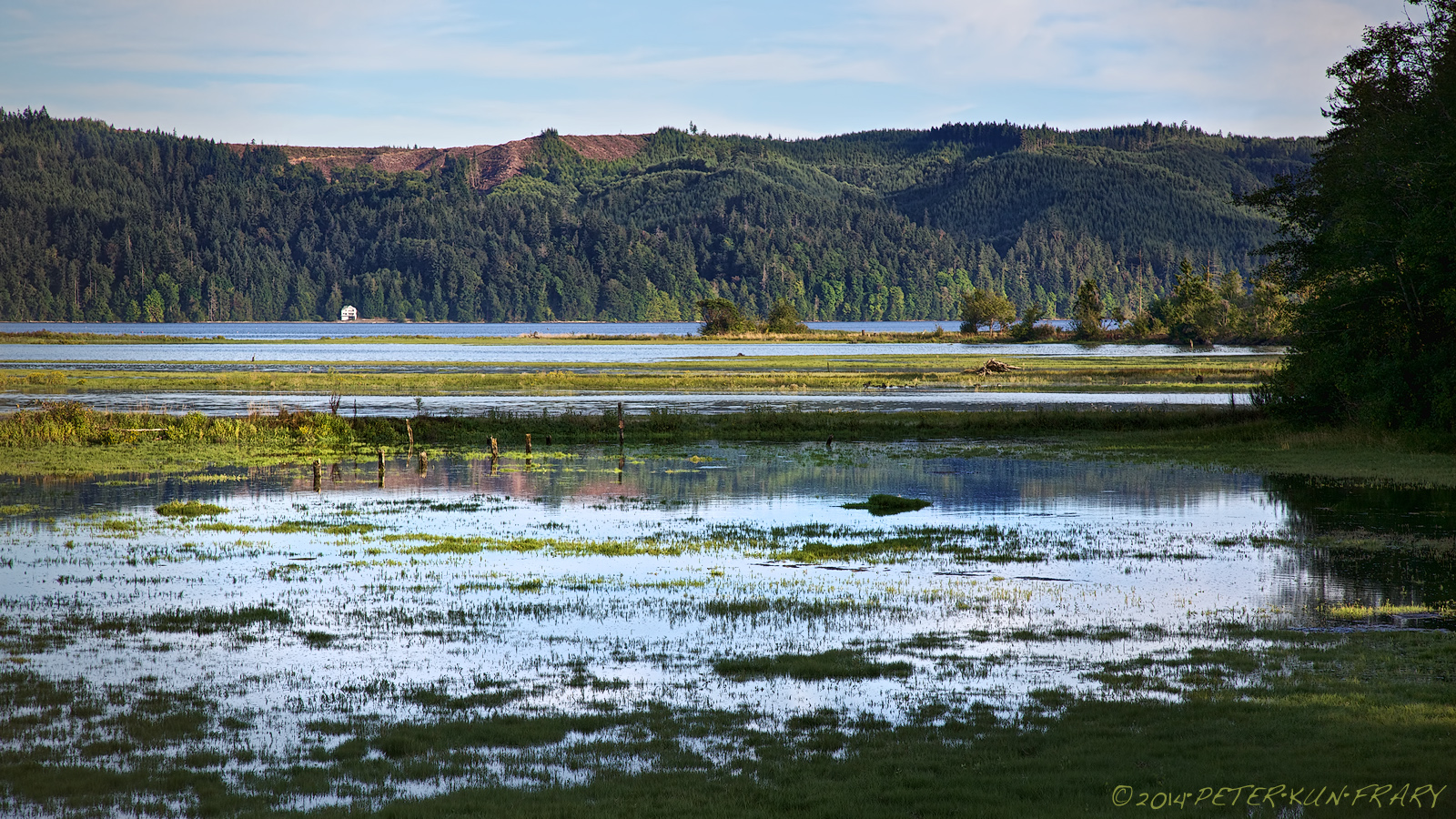 Hamma Hamma On My Mind • Hood Canal, Washington