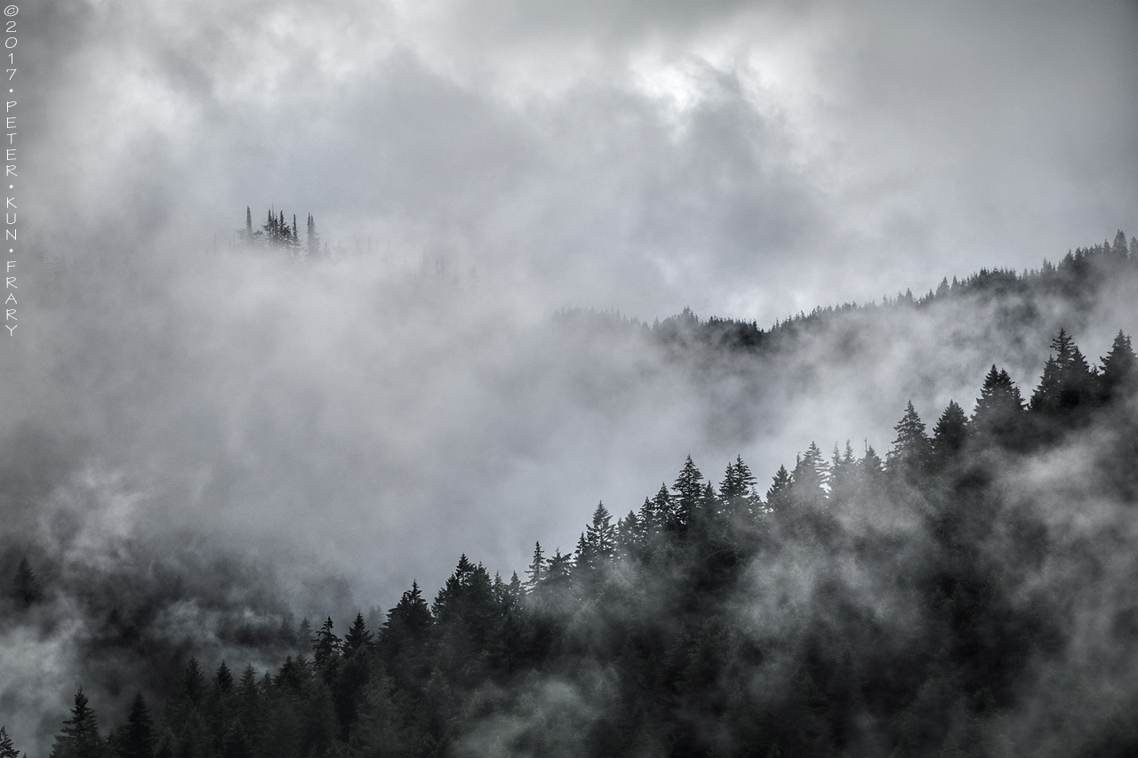 Misty Olympic Mountains • Quilcene WA