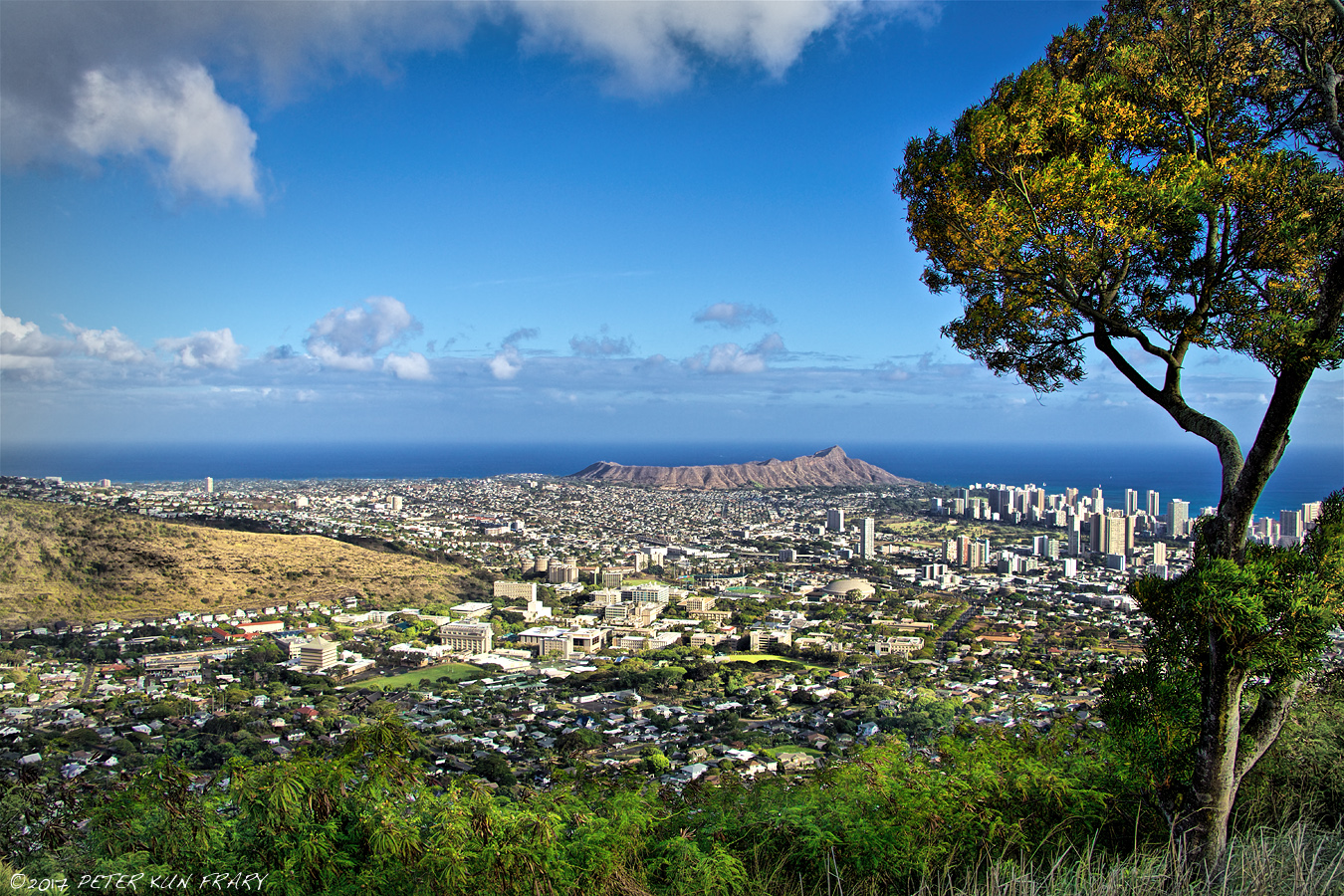 Manoa Valley Vista Honolulu HI Puu Ualakaa State Park