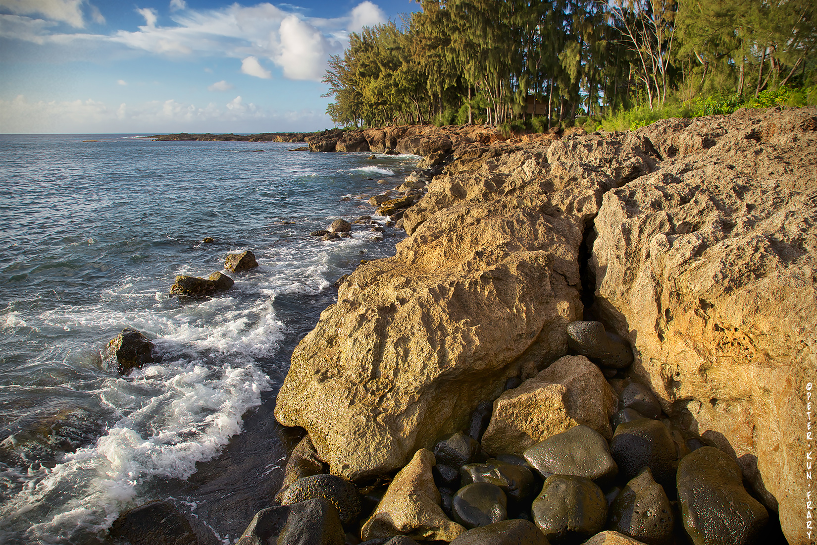 Shark's Cove Afternoon | Nature a source of inspiration for composers.