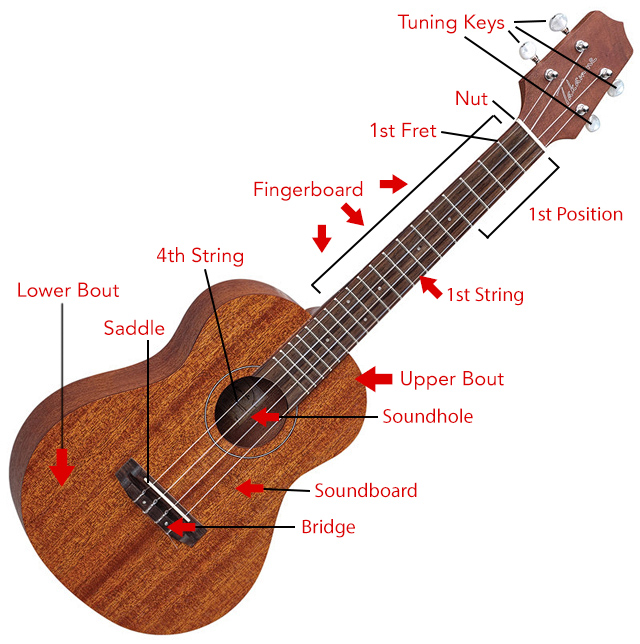 Koa Thin Acoustic Guitar Acoustic Guitar Music Guitar
